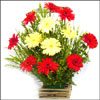 Timeless Beauty - Click here to View more details about this Product